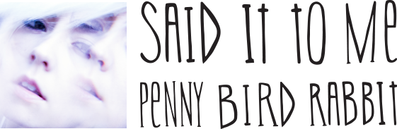 pennybirdrabbit - For Love